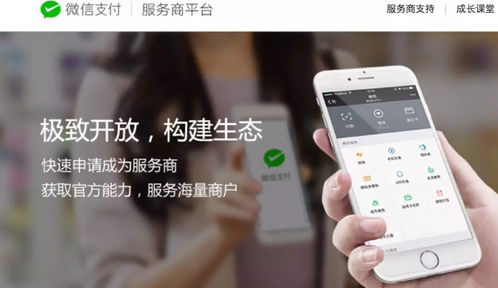 江蘇中理網絡科技 服務商定位、準入路徑與網絡技術服務解析